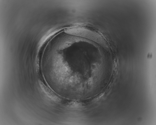 X0000113280343200909211045