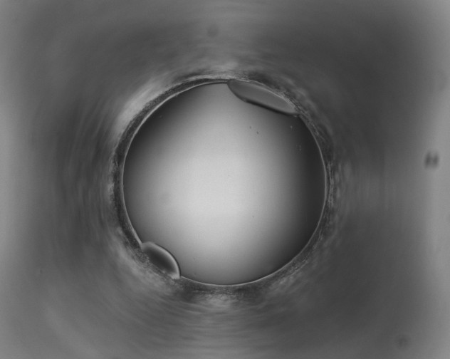 X0000113280344200909211045