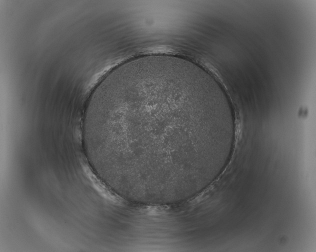 X0000113280345200909211045