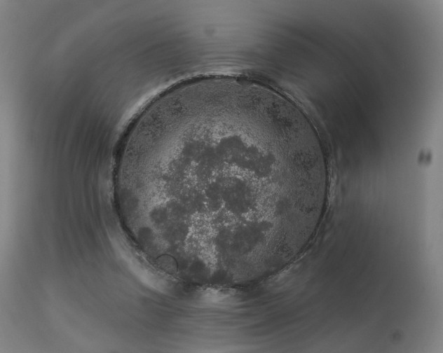 X0000113280346200909211045