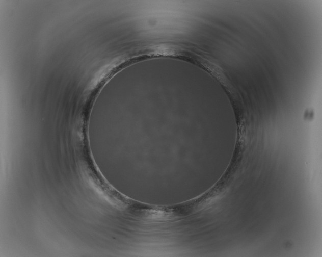 X0000113280347200909211045