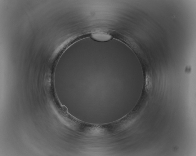 X0000113280348200909211045