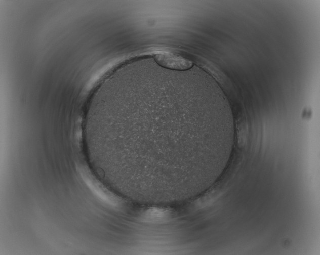 X0000113280350200909211045