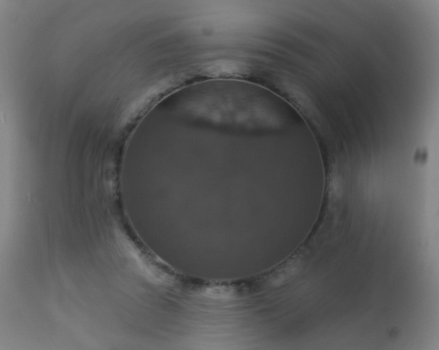 X0000113280353200909211045