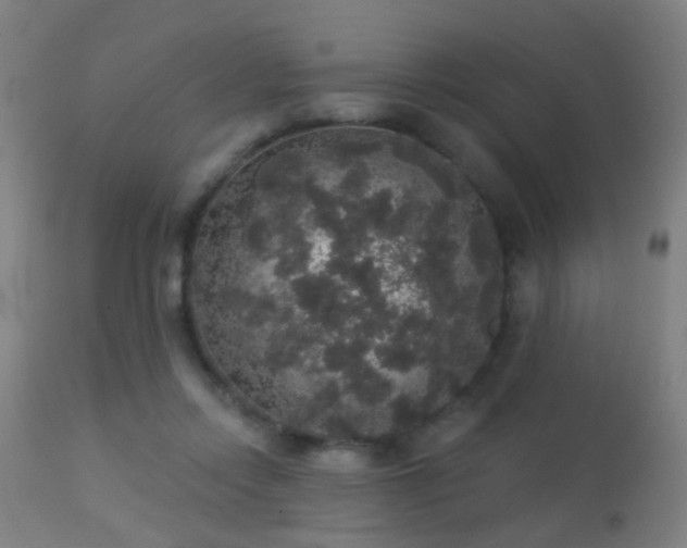 X0000113280358200909211045