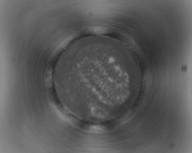 X0000113280360200909211045