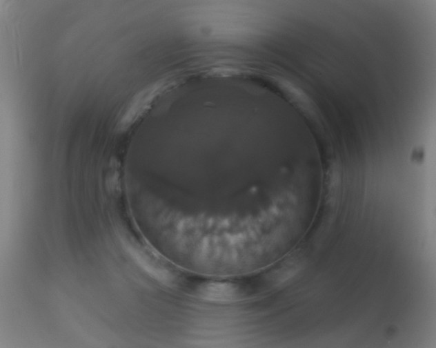 X0000113280361200909211045