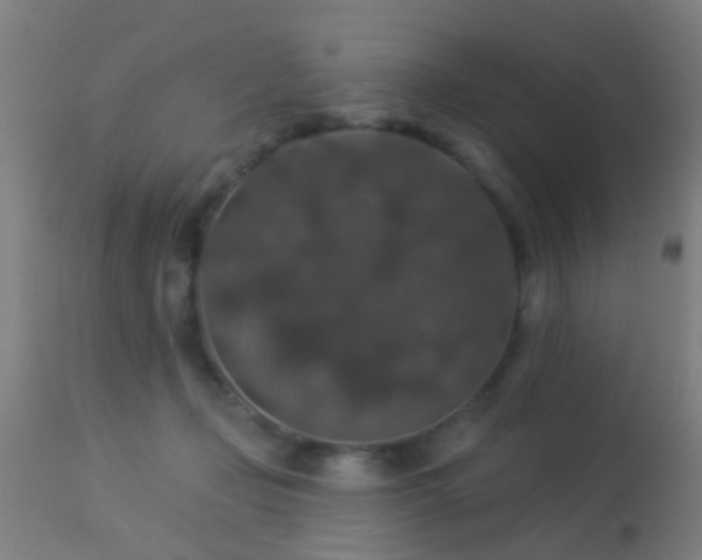 X0000113280365200909211045