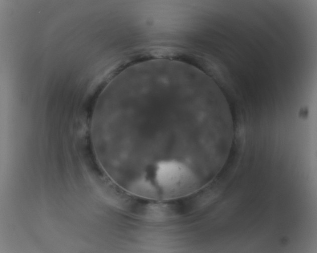 X0000113280367200909211045