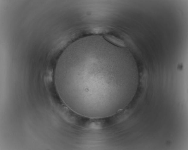 X0000113280368200909211045