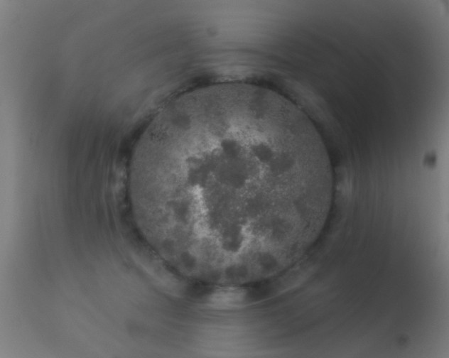 X0000113280369200909211045