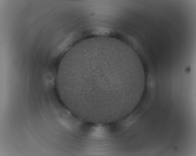 X0000113280370200909211045