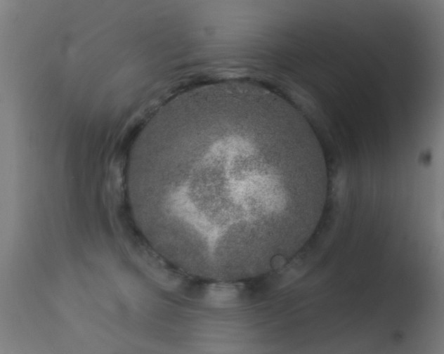 X0000113280373200909211045