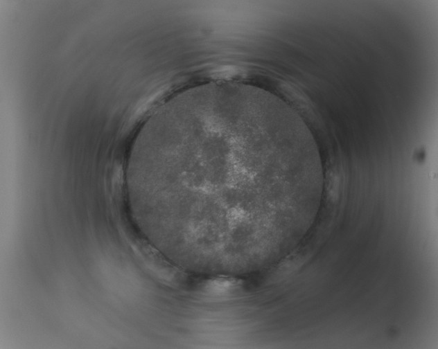 X0000113280375200909211045