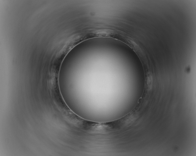 X0000113280379200909211045