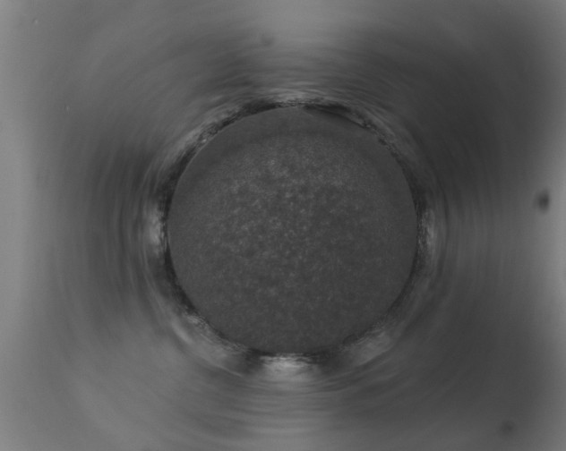 X0000113280380200909211045