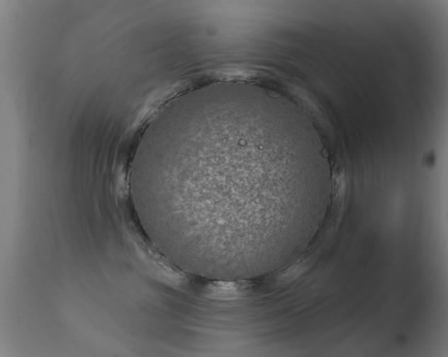 X0000113280381200909211045