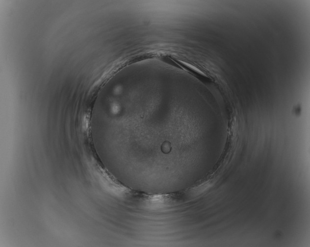 X0000113280382200909211045