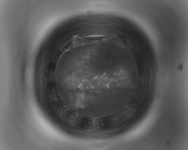 X0000113280383200909211045