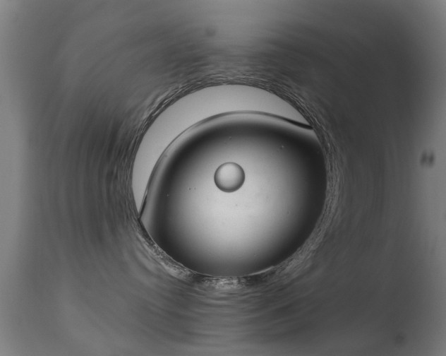 X0000113280384200909211045