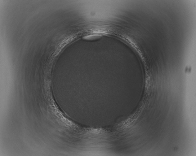 X0000113280385200909211044