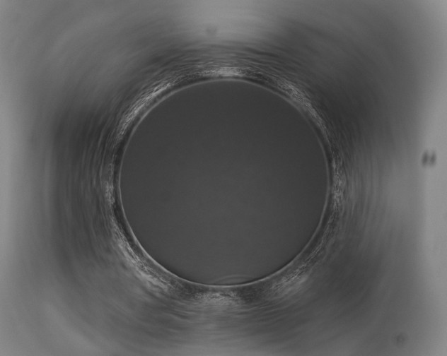 X0000113280386200909211044