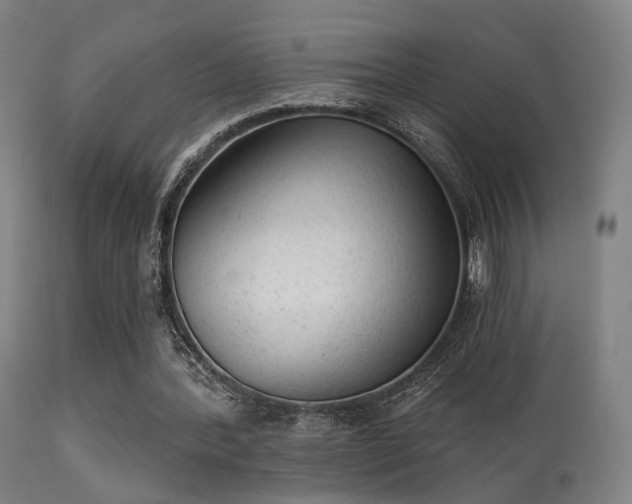 X0000113280388200909211044