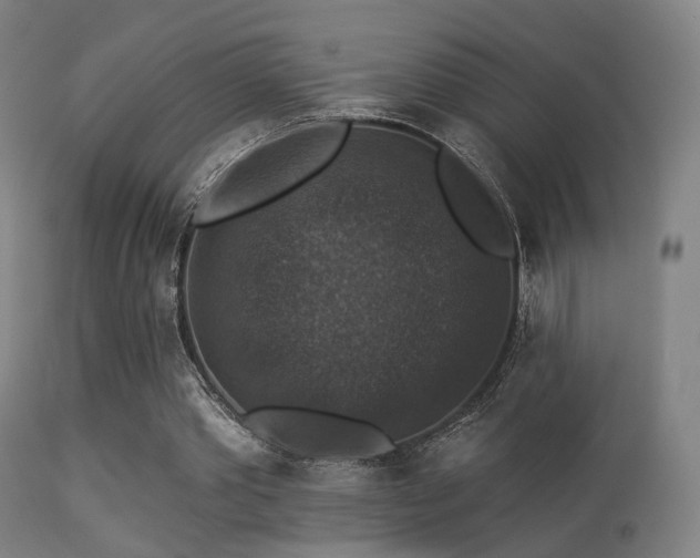 X0000113280389200909211044