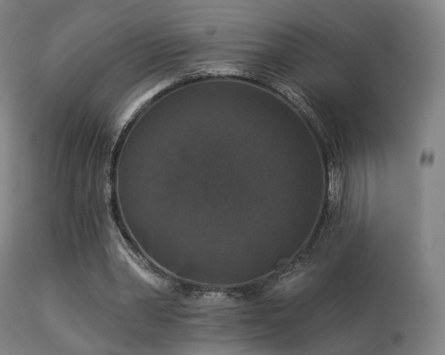 X0000113280390200909211044