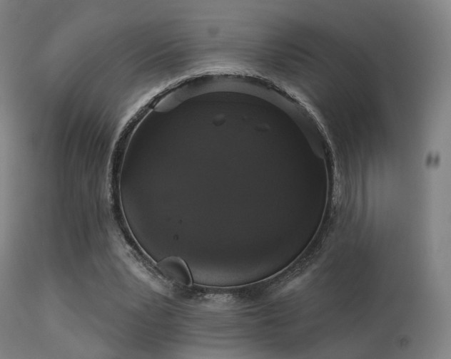 X0000113280391200909211044