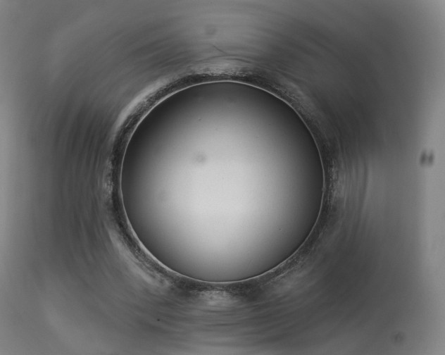 X0000113280392200909211044