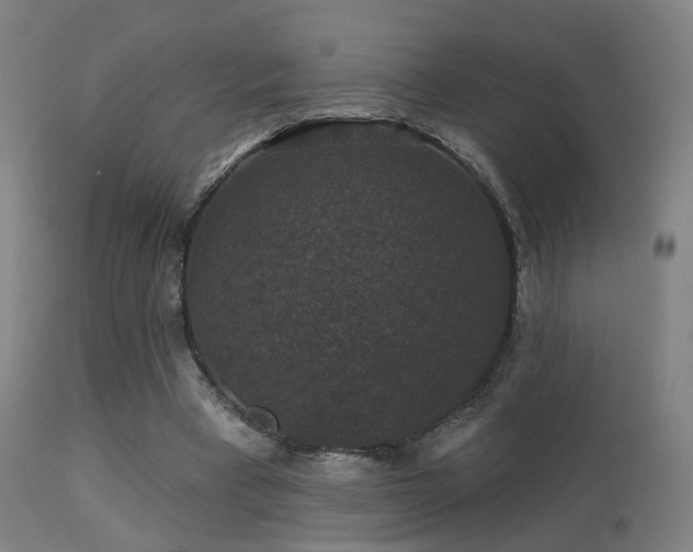 X0000113280393200909211044