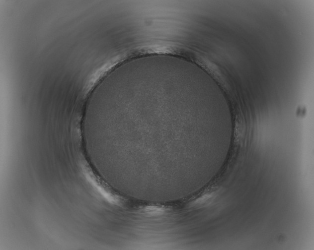 X0000113280394200909211044