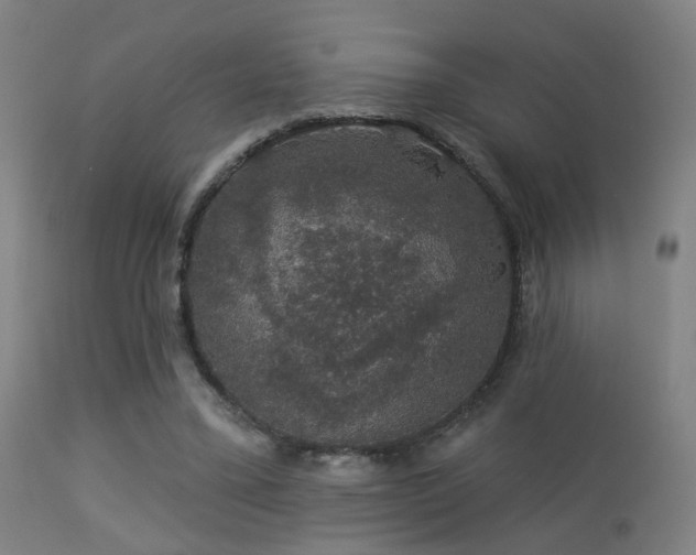 X0000113280395200909211044