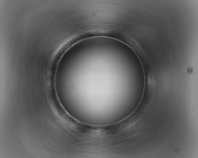 X0000113280396200909211044