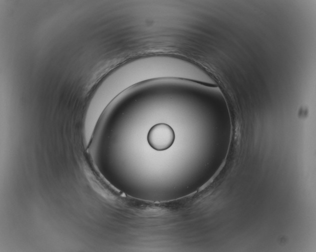 X0000113280397200909211044