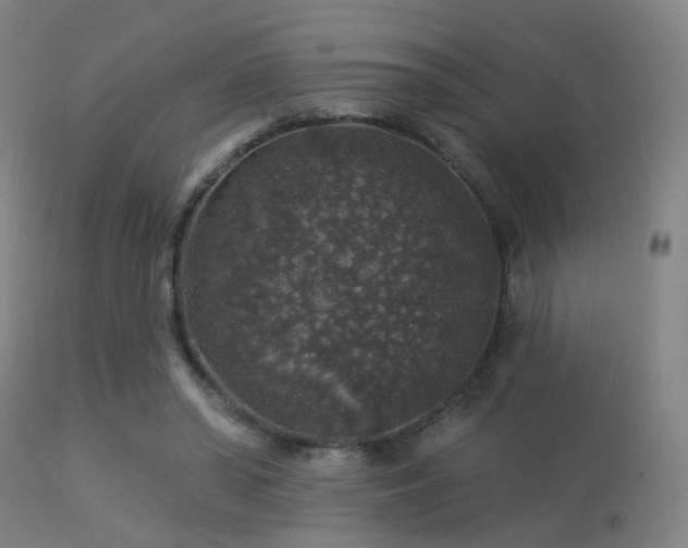 X0000113280398200909211044