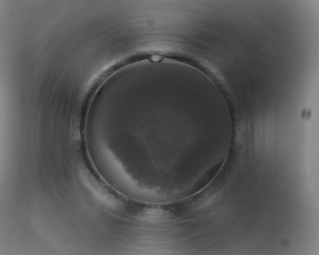 X0000113280399200909211044