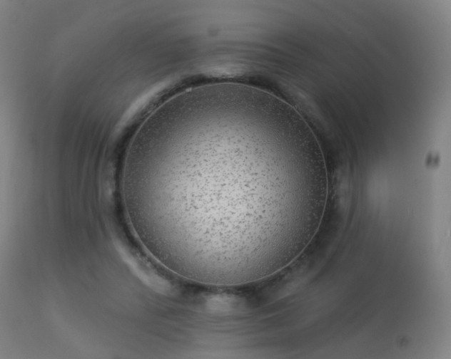 X0000113280400200909211044