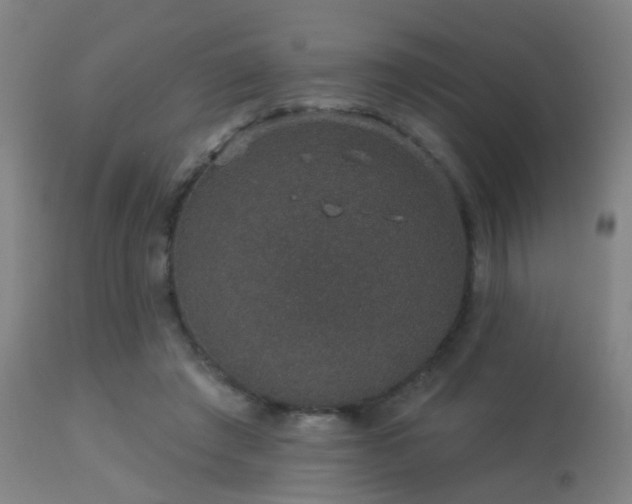 X0000113280401200909211044