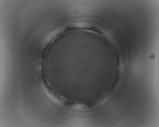 X0000113280402200909211044