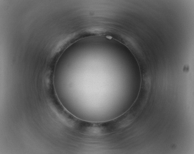 X0000113280404200909211044