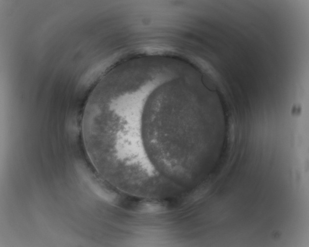 X0000113280405200909211044