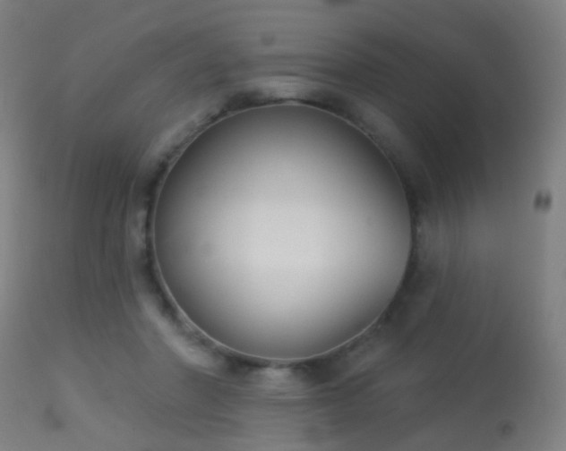 X0000113280406200909211044