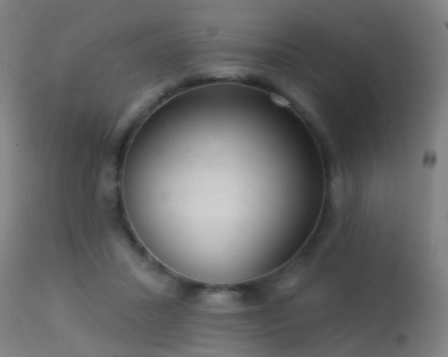 X0000113280407200909211044