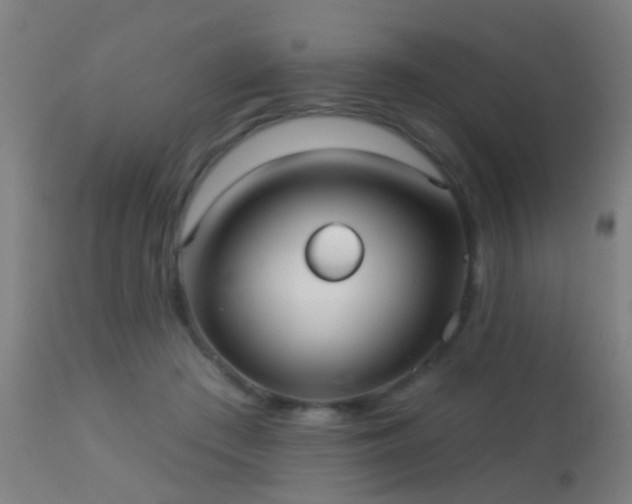 X0000113280409200909211044