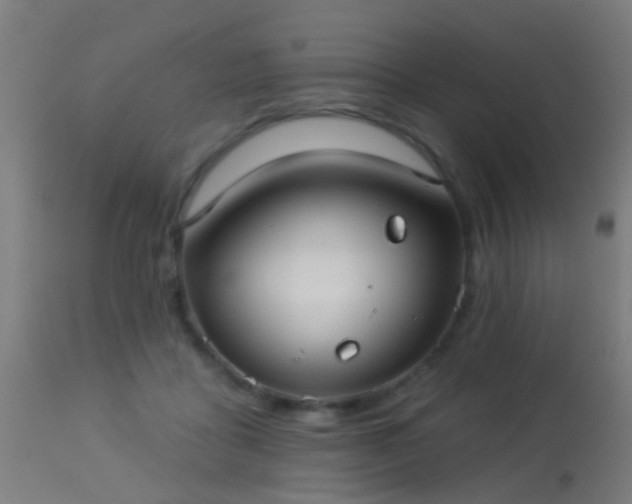 X0000113280411200909211044