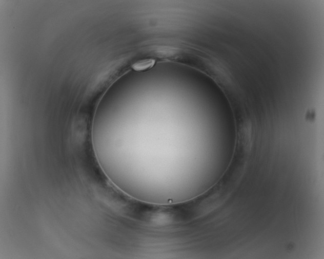 X0000113280412200909211044