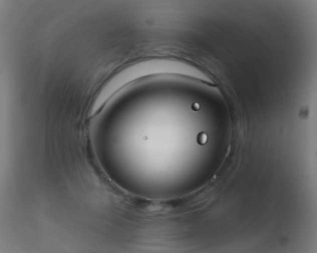 X0000113280415200909211044