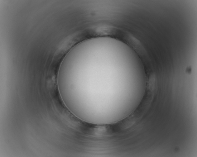 X0000113280418200909211044